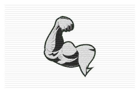 Reviewing the Body Building Embroidery Logo Fitness Design